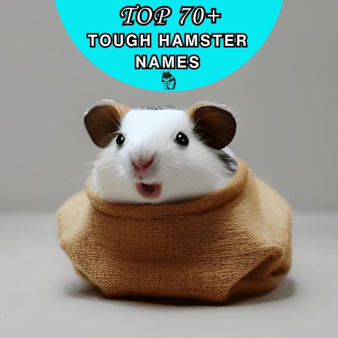 Tough-Hamster-Names