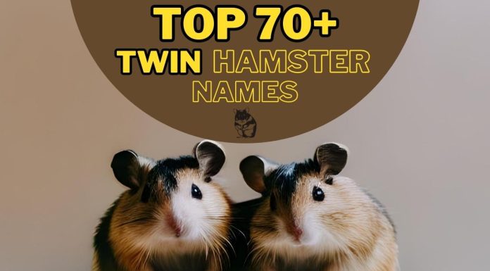Twin-Hamster-Names