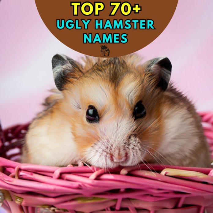 Ugly Hamster Names– Our Top 50+ Picks!