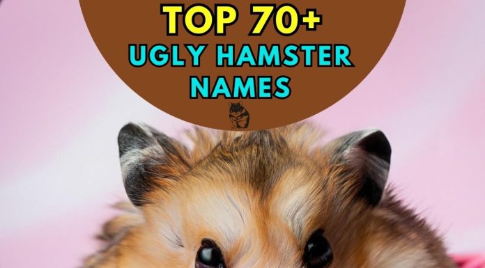 Ugly-Hamster-Names