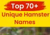Unique-Hamster-Names
