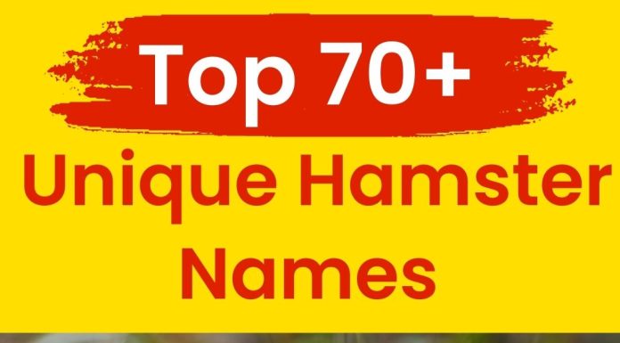 Unique-Hamster-Names