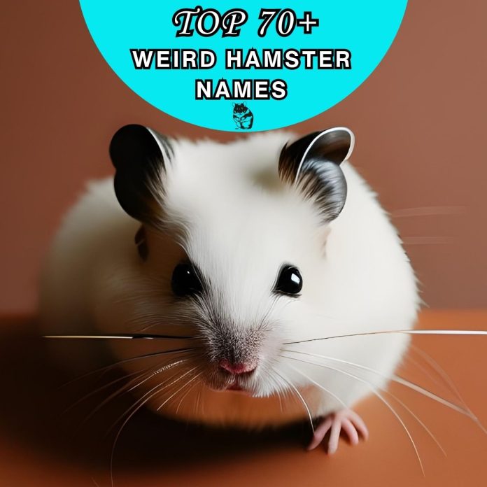 Weird-Hamster-Names