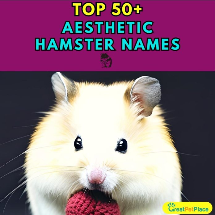 Aesthetic-Hamster-Names-–-Our-Top-70-Picks.jpg