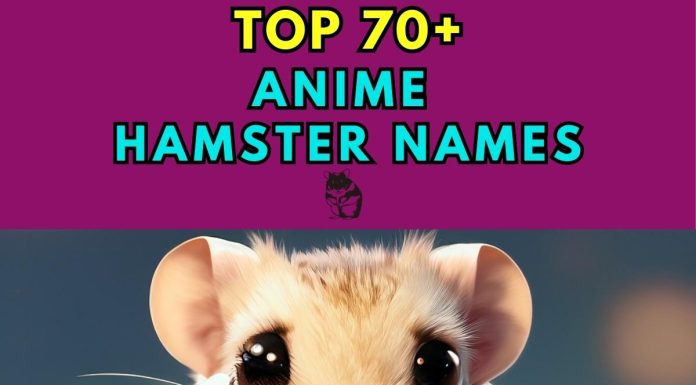 Anime-Hamster-Names-–-Our-Top-70-Picks.jpg