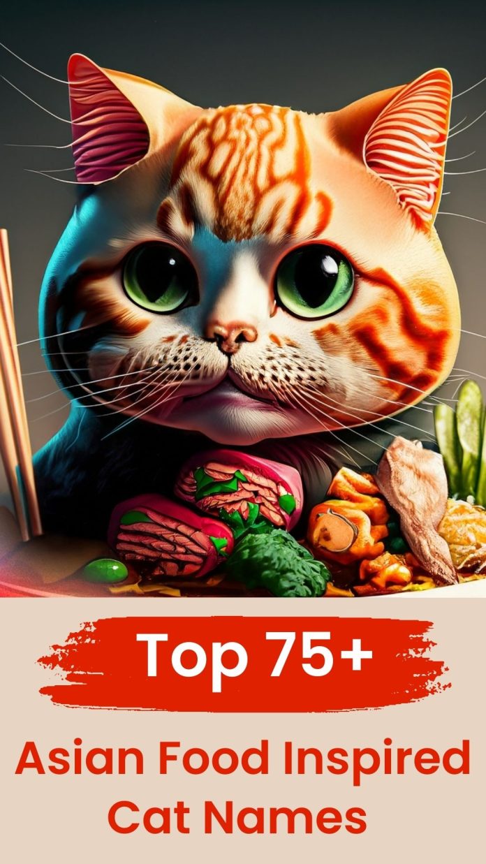 Asian-Food-Inspired-Cat-Names-With-Meaning-–-A-Top-75-List