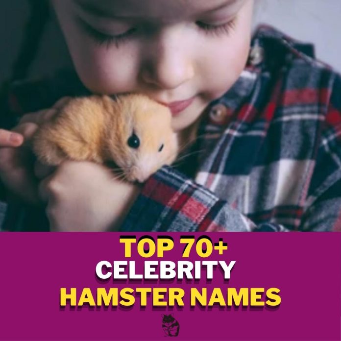 Celebrity-Hamster-Names-With-Meaning-–-Our-Top-70-Picks.jpg