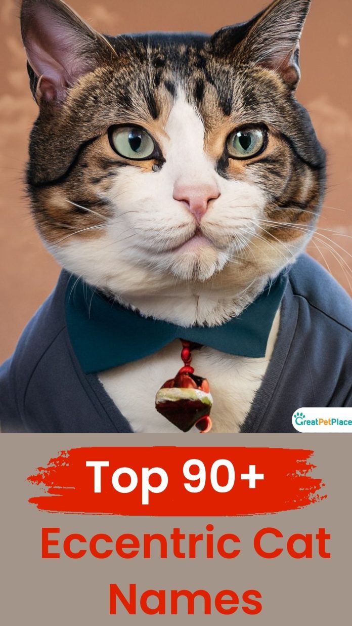 Eccentric-Cat-Names-With-Meaning-Our-Top-90-Picks