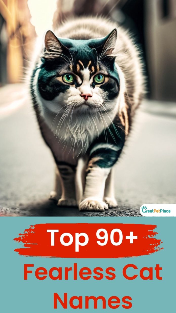 Fearless-Cat-Names-With-Meaning-Our-Top-90-Picks