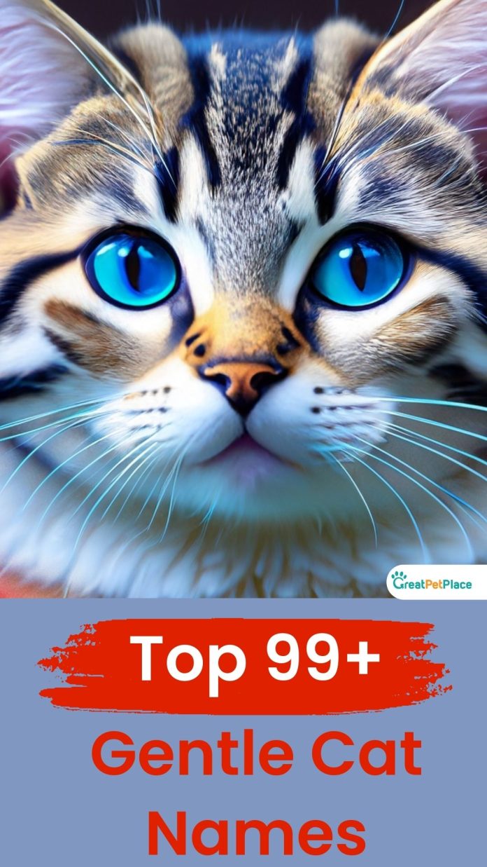Gentle-Cat-Names-With-Meaning-Our-Top-99-Picks