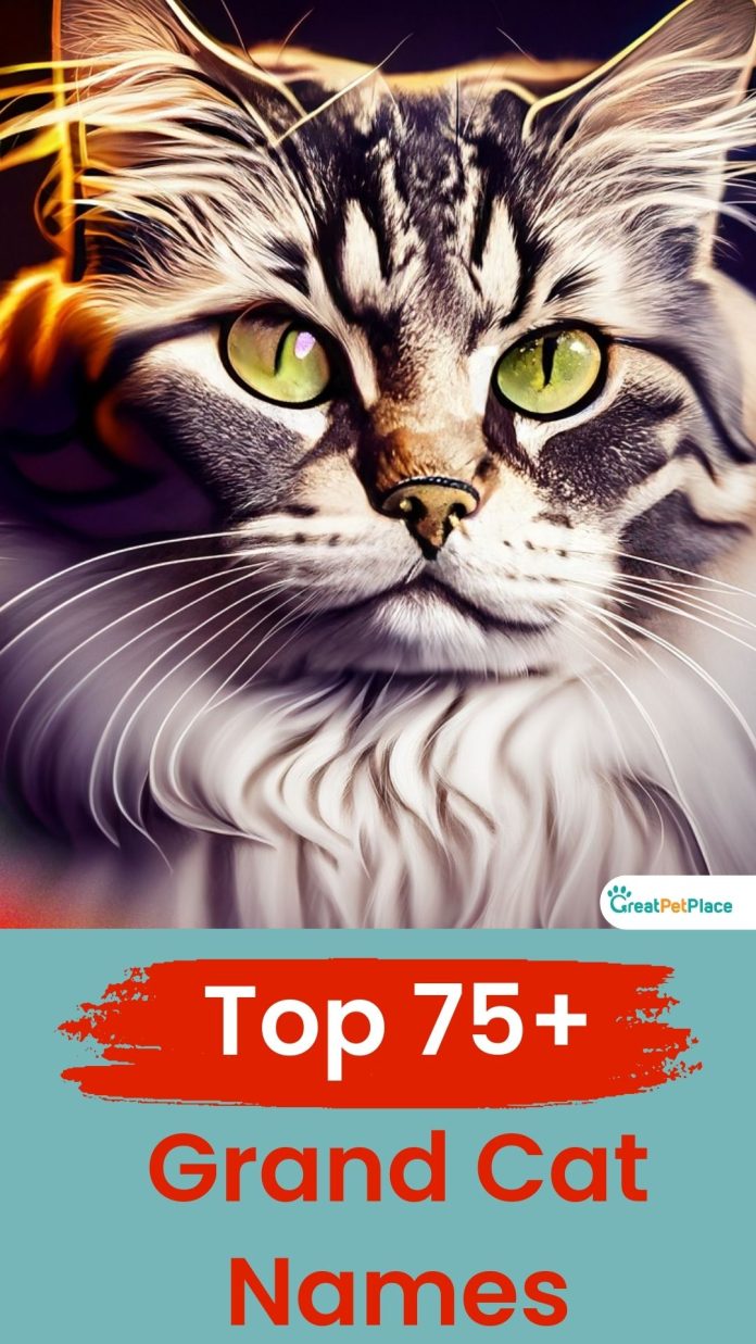Grand-Cat-Names-With-Meaning-Our-Top-75-Picks