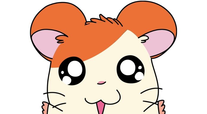 Hamtaro-Hamster-Names-With-Meaning-–-Our-Top-70-Picks.jpg