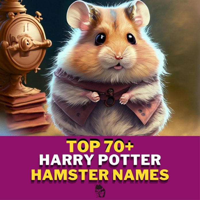 Harry-Potter-Hamster-Names-With-Meaning-–-Our-Top-70-Picks.jpg