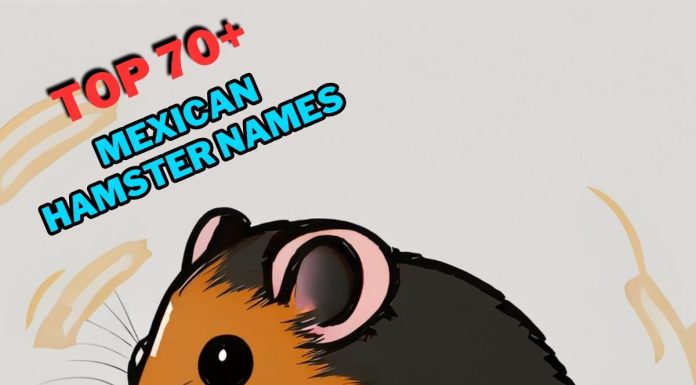 Korean-Hamster-Names-With-Meaning-–-Our-Top-70-Picks.jpg