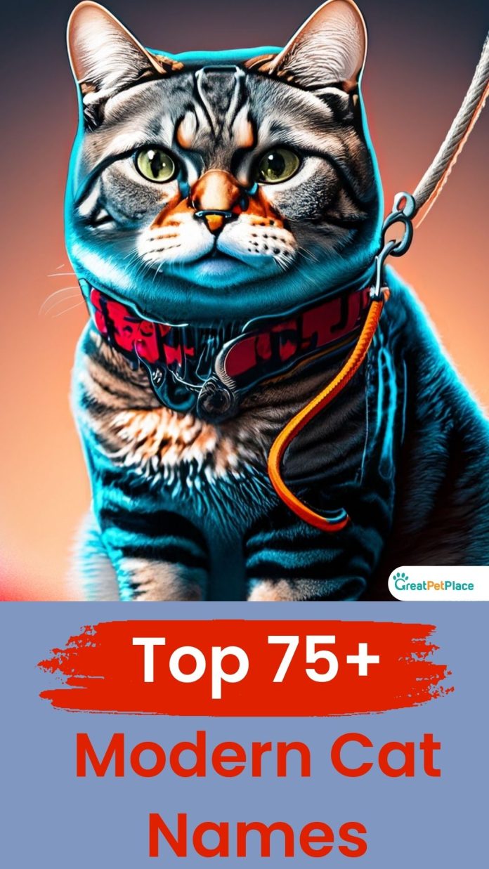 Modern-Cat-Names-With-Meaning-Our-Top-75-Picks