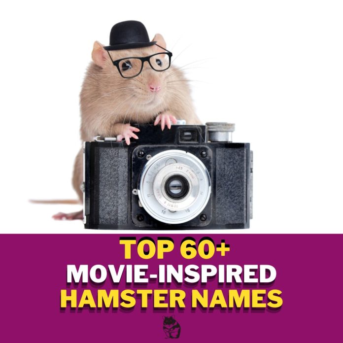 Movie-Inspired-Hamster-Names-With-Meaning-–-Our-Top-60-Picks