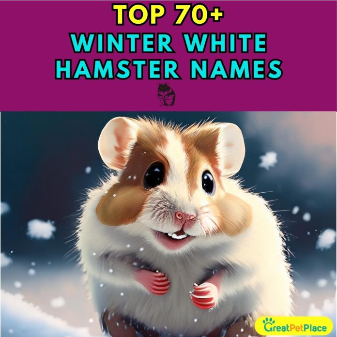 Winter-White-Hamster-Names