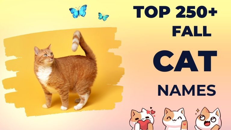 Fall-Inspired Cat Names: 250+ Unique Fall Cat Names Idea