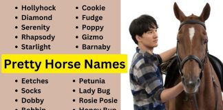 120-Pretty-Horse-Names-Youll-Love.