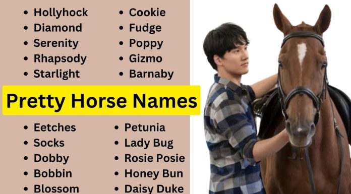 120-Pretty-Horse-Names-Youll-Love.