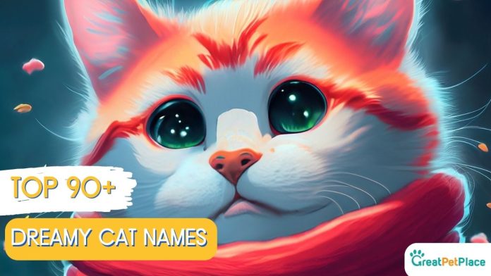 Dreamy-Cat-Names-With-Meaning-Our-Top-90-Favorites