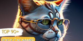 Edgy-Cat-Names-With-Meaning-Our-Top-90-Favorites
