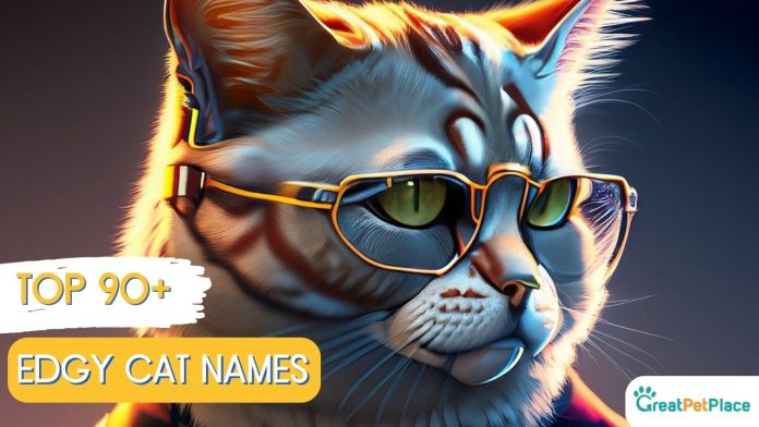 Edgy-Cat-Names-With-Meaning-Our-Top-90-Favorites