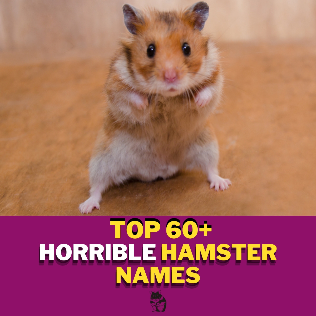 Horrible Hamster Names With (Meaning) – Our Top 80+ Picks!