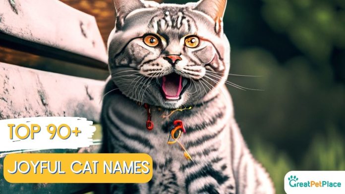 Joyful-Cat-Names-With-Meaning-Our-Top-90-Picks