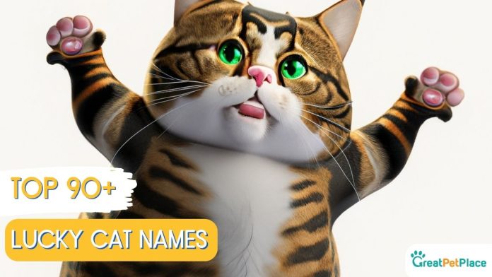 Lucky-Cat-Names-With-Meaning-Our-Top-90-Picks