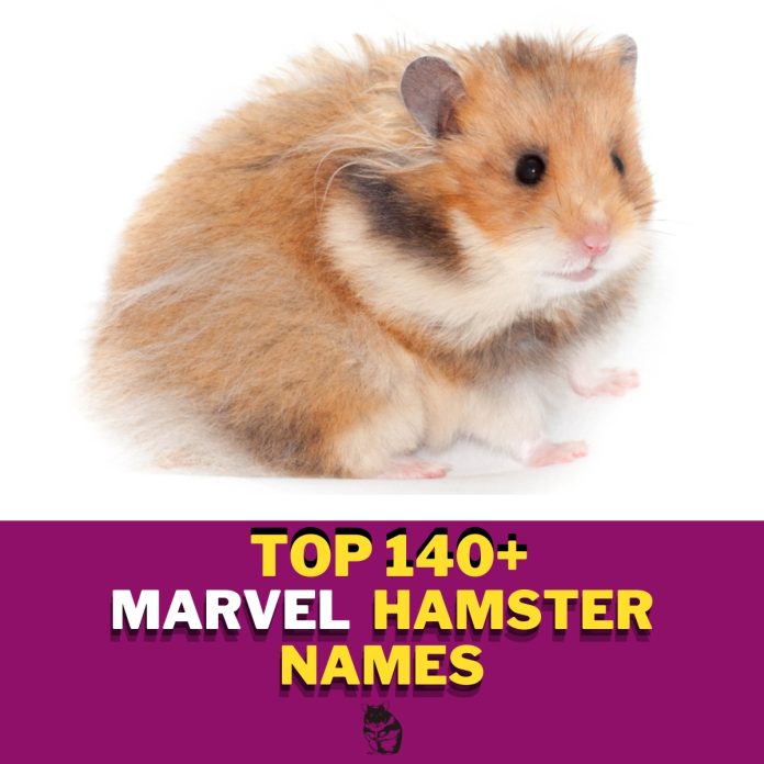 Marvel-Hamster-Names