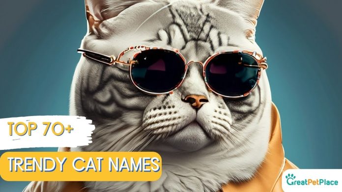 Trendy-Cat-Names-With-Meaning-Our-Top-70-Picks