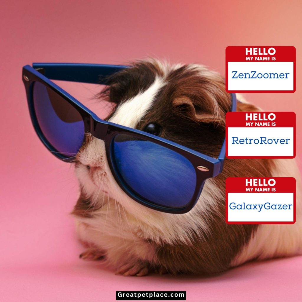 Unique-Trends-Iconic-Hamster-Names.