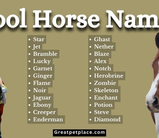100-Cool-Names-for-Your-Majestic-Horse.