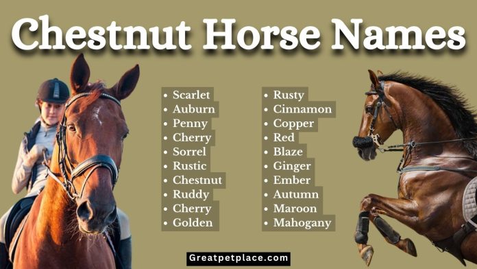 200-of-The-Best-Chestnut-Horse-Names-in-2023.