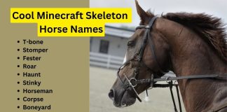220-Cool-Minecraft-Skeleton-Horse-Names.