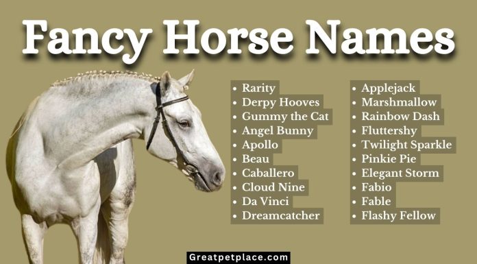 Top-110-Fancy-Horse-Names-Youll-Wish-You-Thought-of-First.jpg