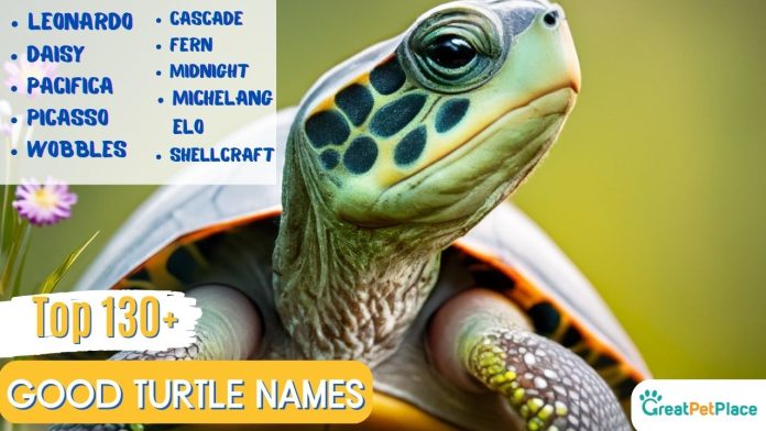 Top-130-Good-Turtle-Names