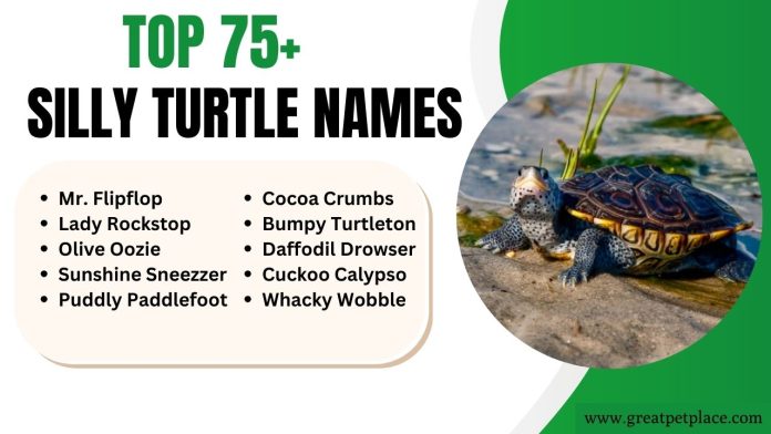 Silly Turtle Names