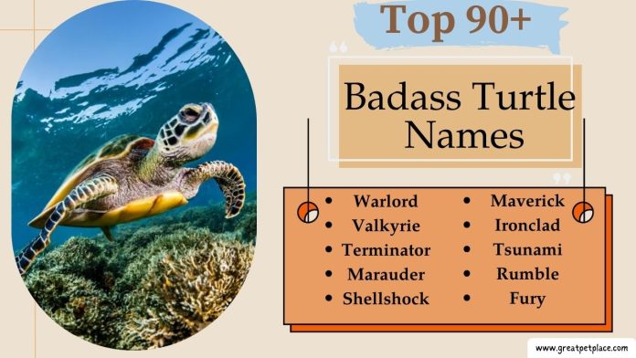 Badass Turtle Names