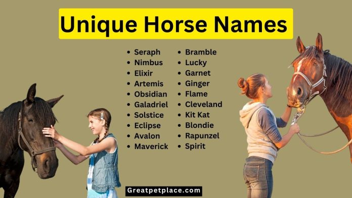 Unique-Horse-Names-With-Meaning-–-Our-Top-60-Picks