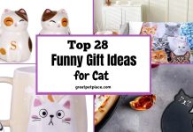 Funny Cat Gift Ideas