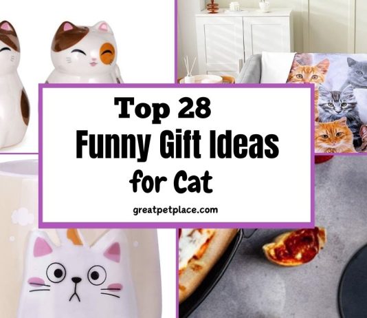 Funny Cat Gift Ideas