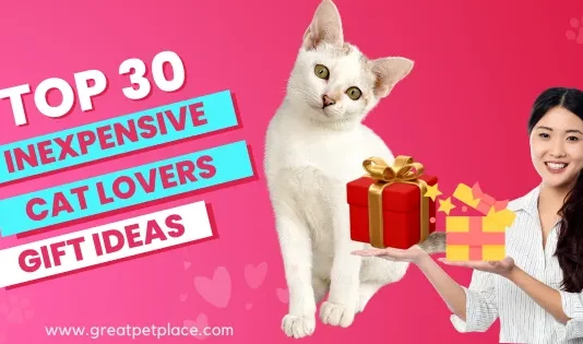 Inexpensive Gift Ideas for Cat Lovers