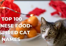 Best Chinese Food-Inspired Cat Names