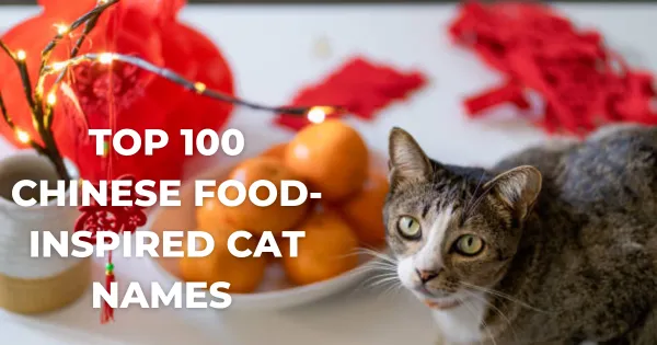 Best Chinese Food-Inspired Cat Names