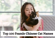 Top 100 Chinese Female Cat Names