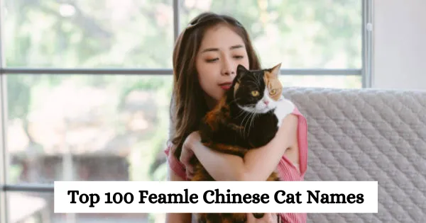 Top 100 Chinese Female Cat Names