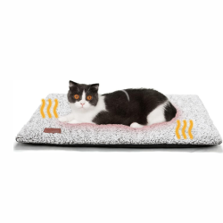 Cat Yoga Mat