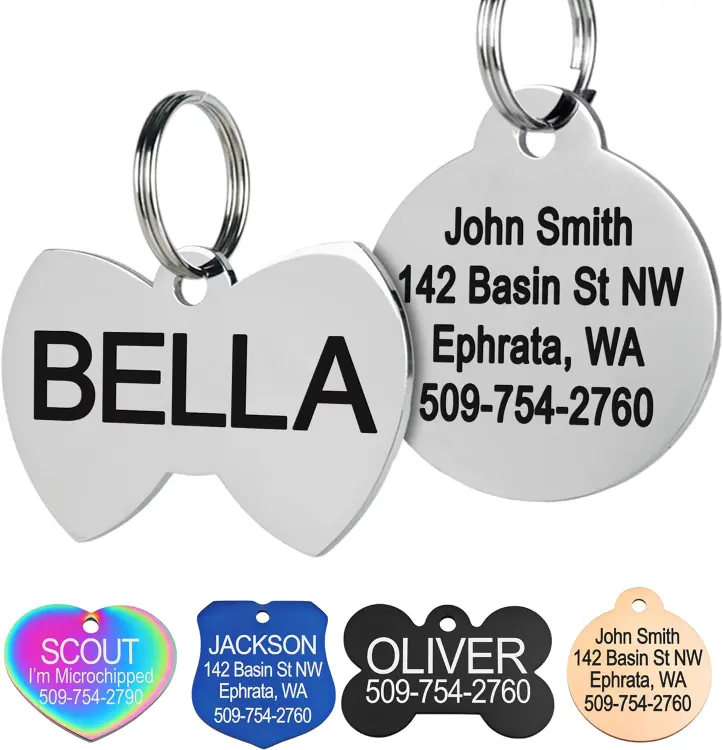 GoTags Stainless Steel Personalized Cat ID Tag